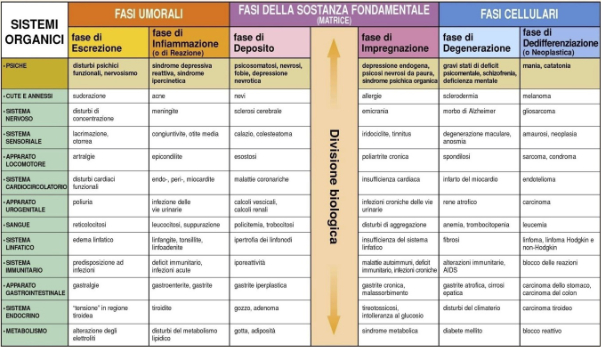 Tavola omotossicologia 600